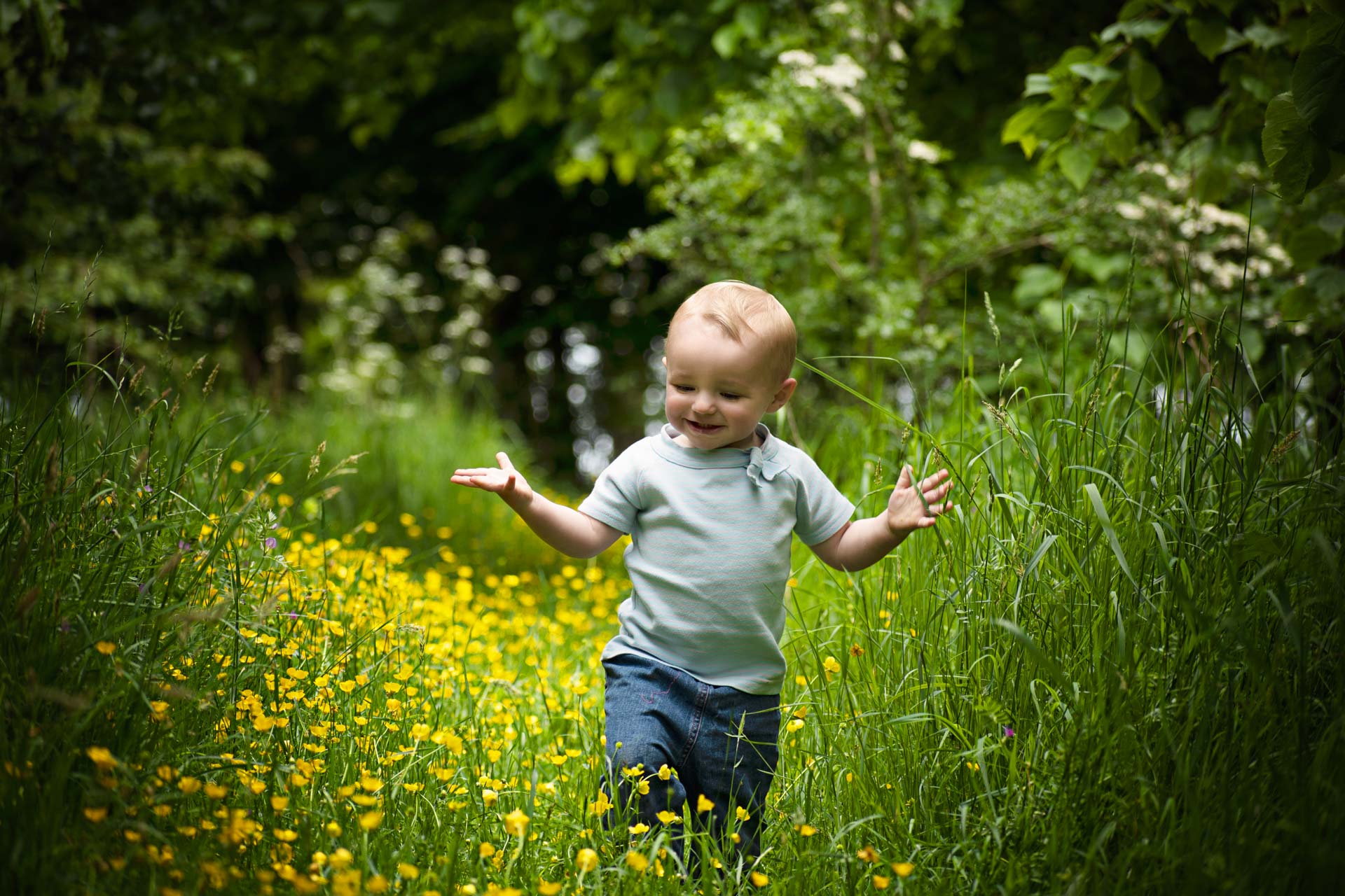 Toddler wearing light blue t-shirt and dark blue jeans walking through a woodland with long grass and lots of yellow buttercups