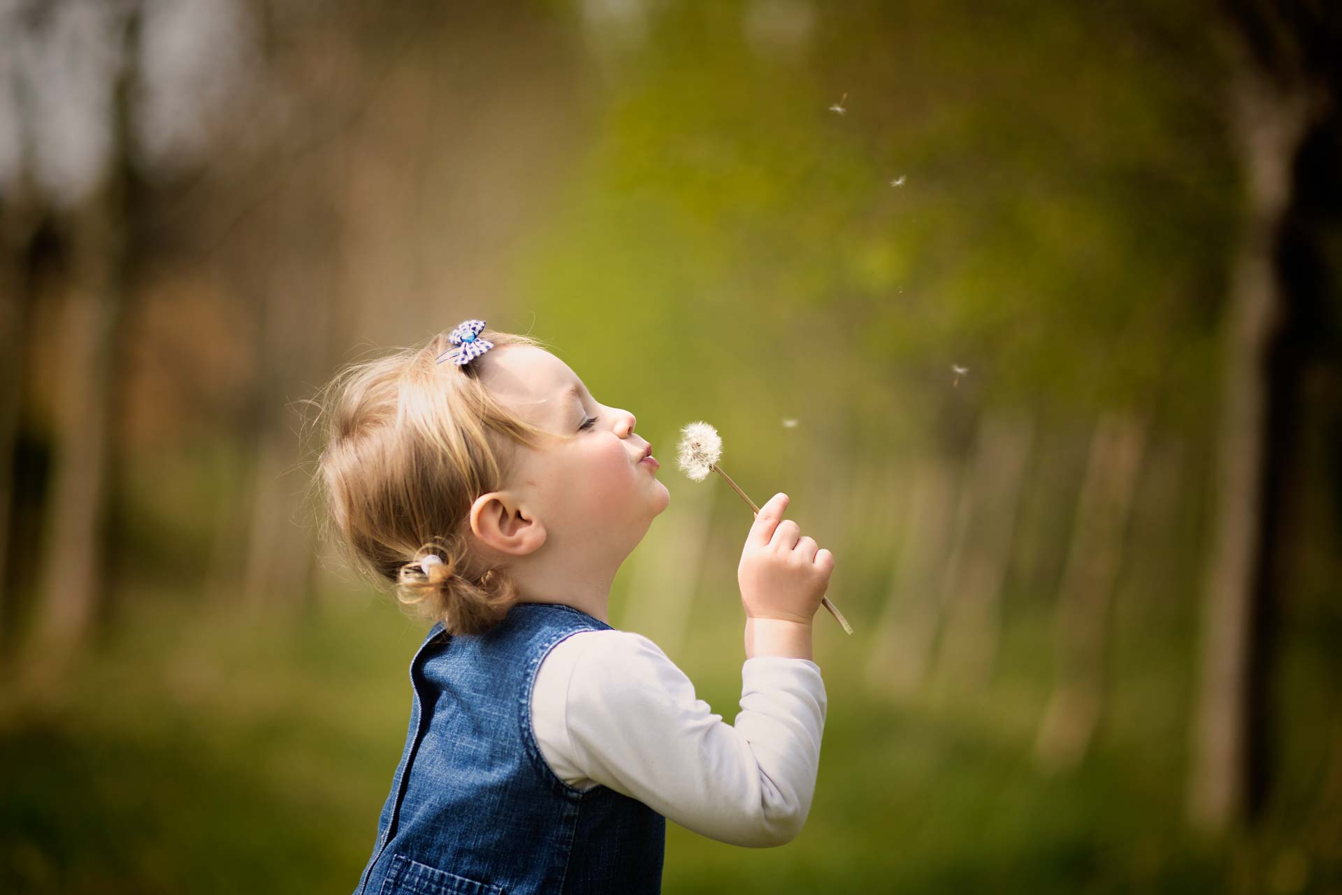Young girl blowing a dandelion flower. She is wearing a white top and blue dress. The background is a blurry image of trees