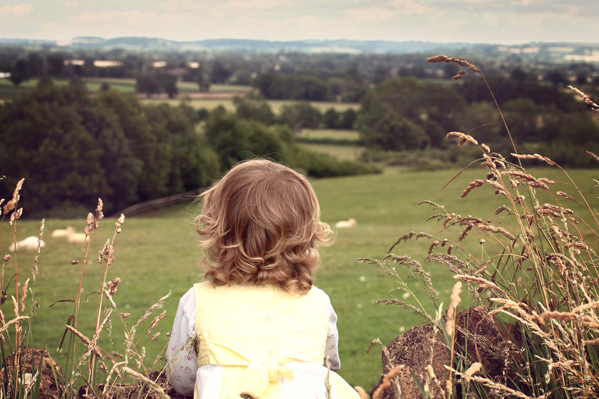 Toddler wearing yellow dress with curls in her hair leaning over a dry stone wall in the Cotswolds. We can only see the back of her. The view is of sheep in a field with the valley extending into the distance