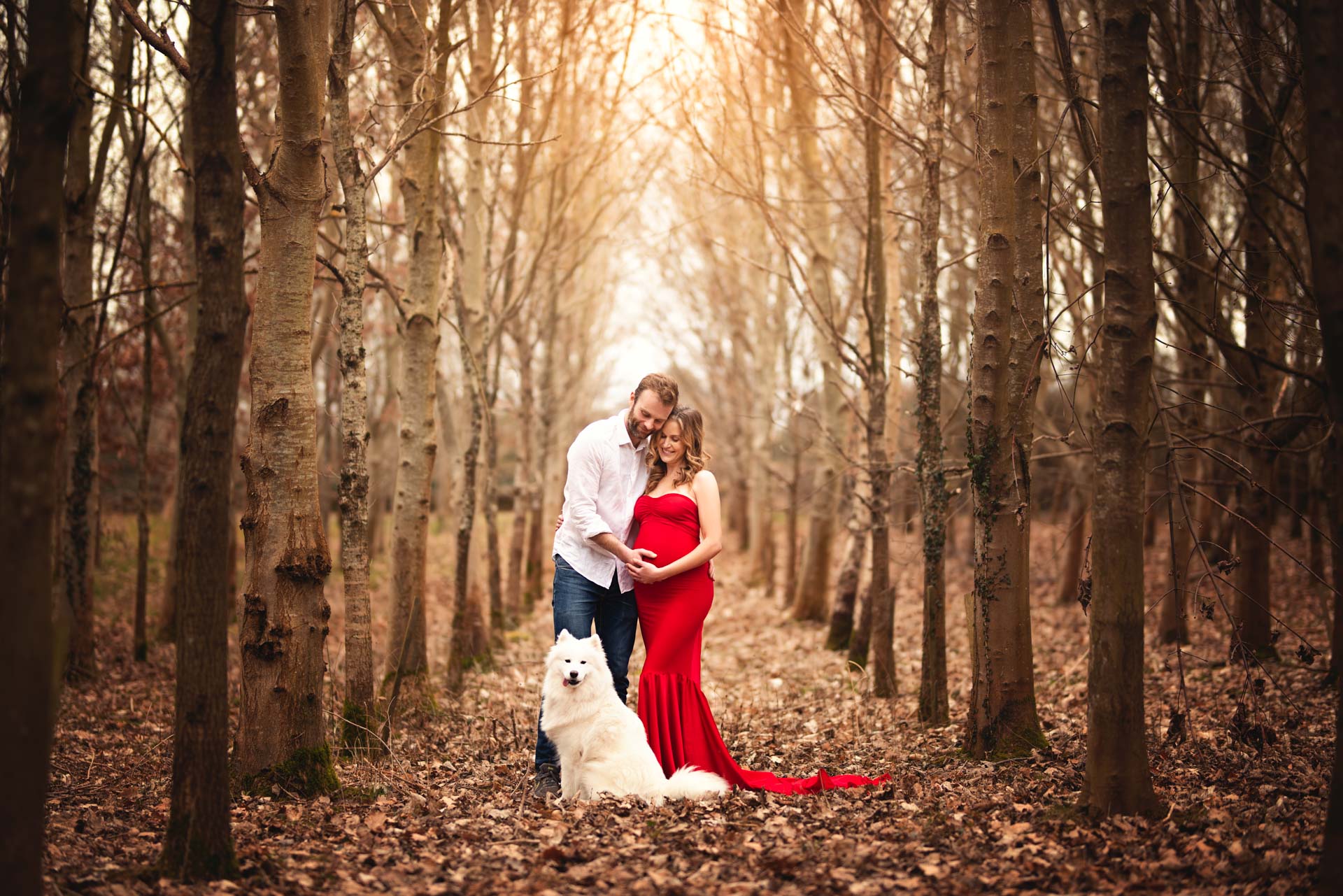 Pregnant women wearing long red dress being embraced by her husband. They are standing in a column of trees in the autumn and their white dog is sitting in front of them.