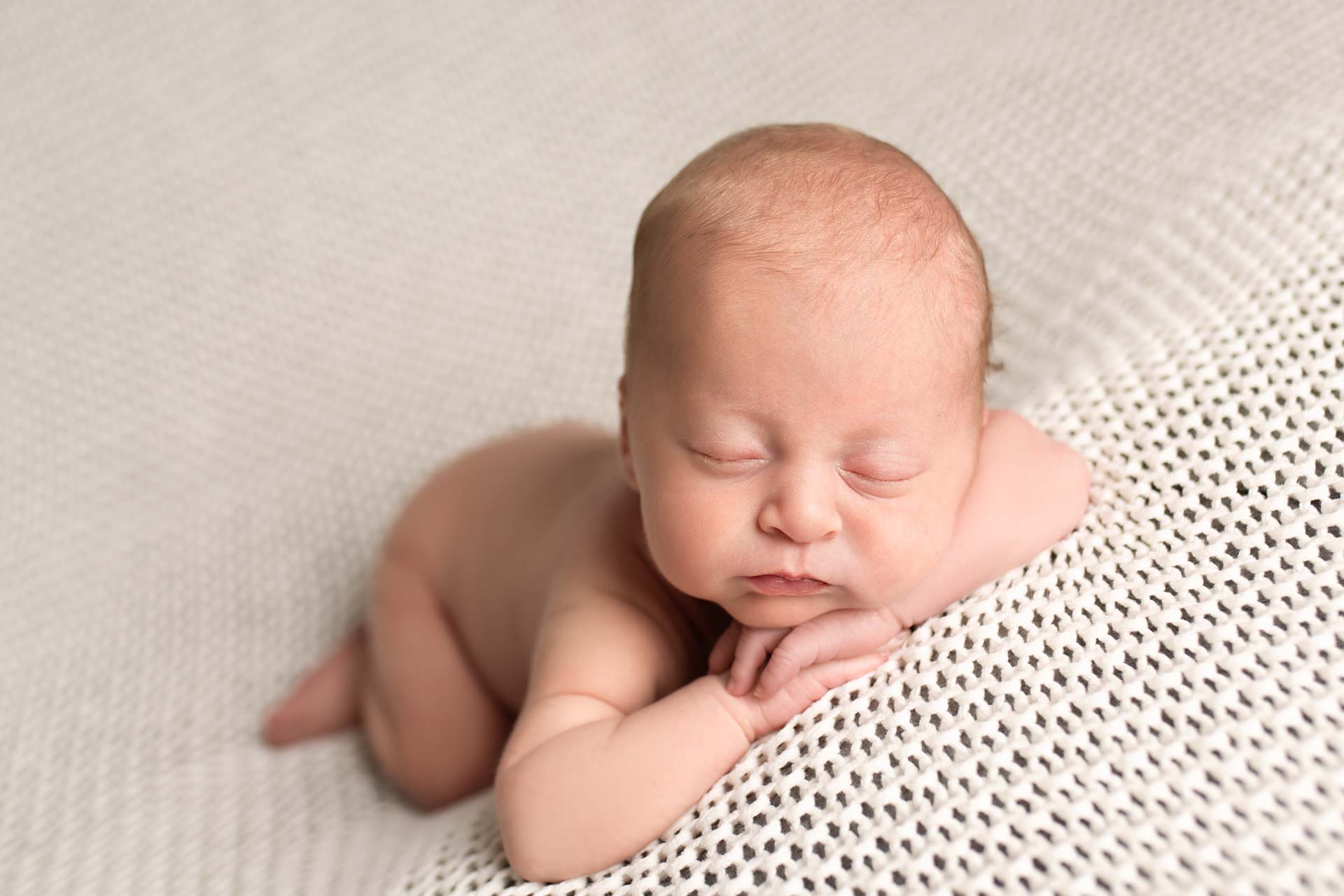 Forward facing pose for this newborn baby