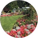 Aurélie Comiti profile picture