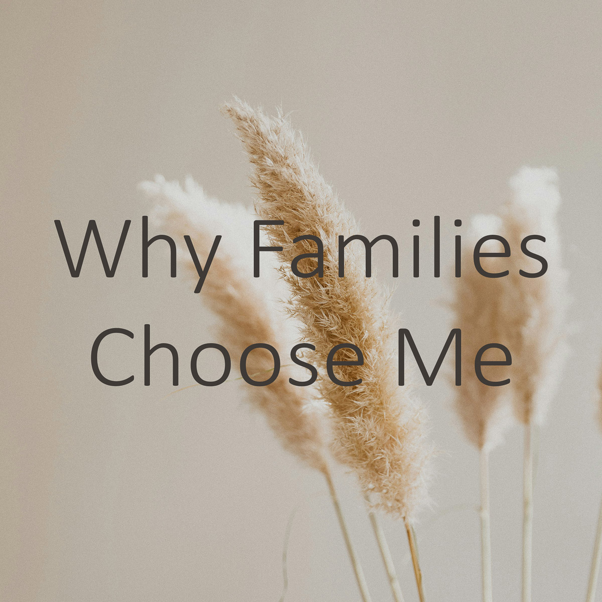 image for button for why families choose me with four sticks of dried grass in the background