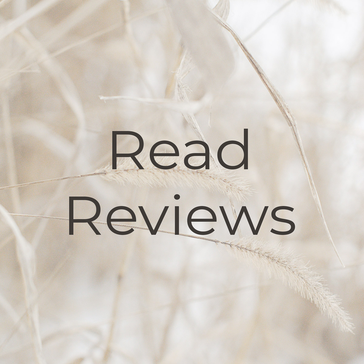 image for a button that says read reviews with wintry dry grasses in the background