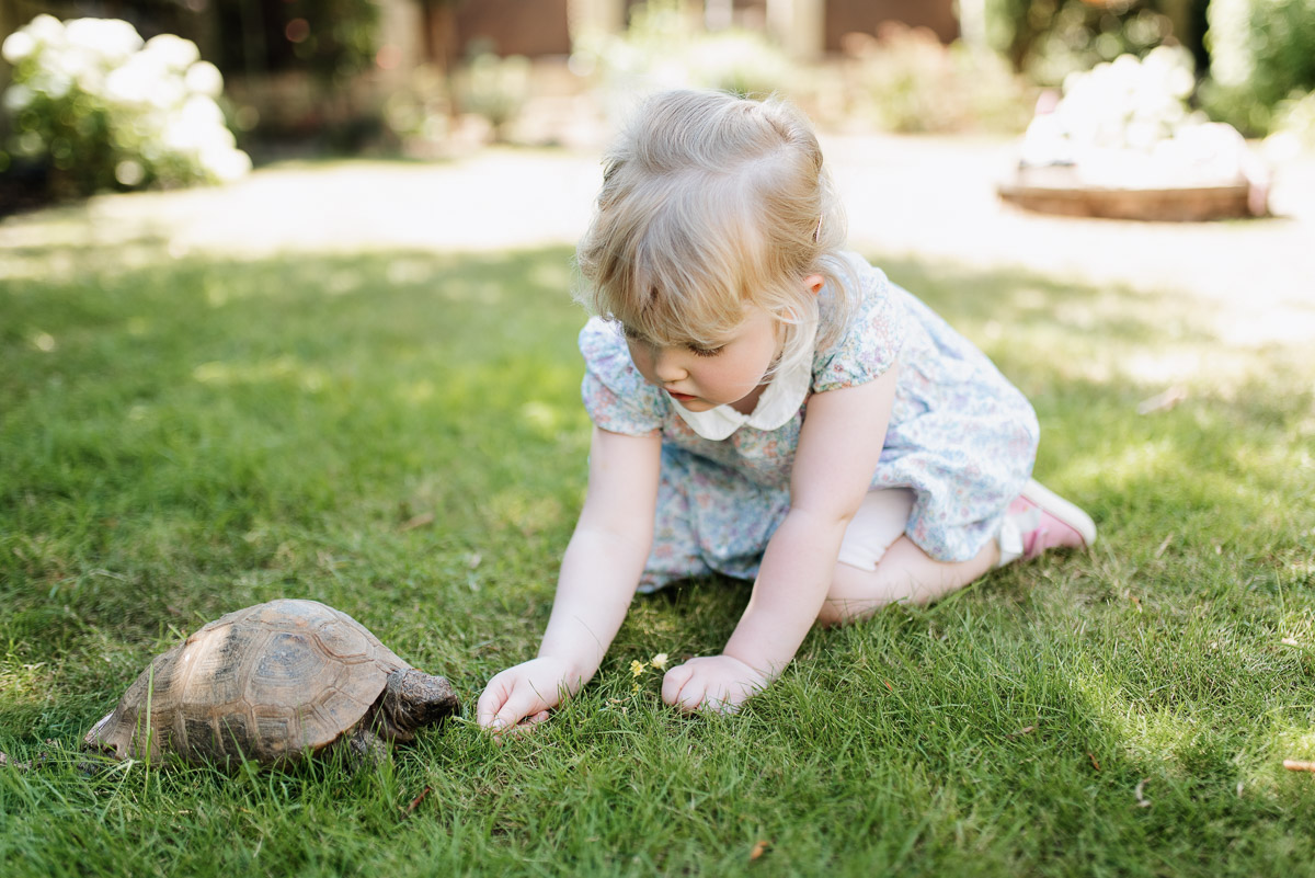 Girl sitting on grass feeding the 80 year old pet tortoise
